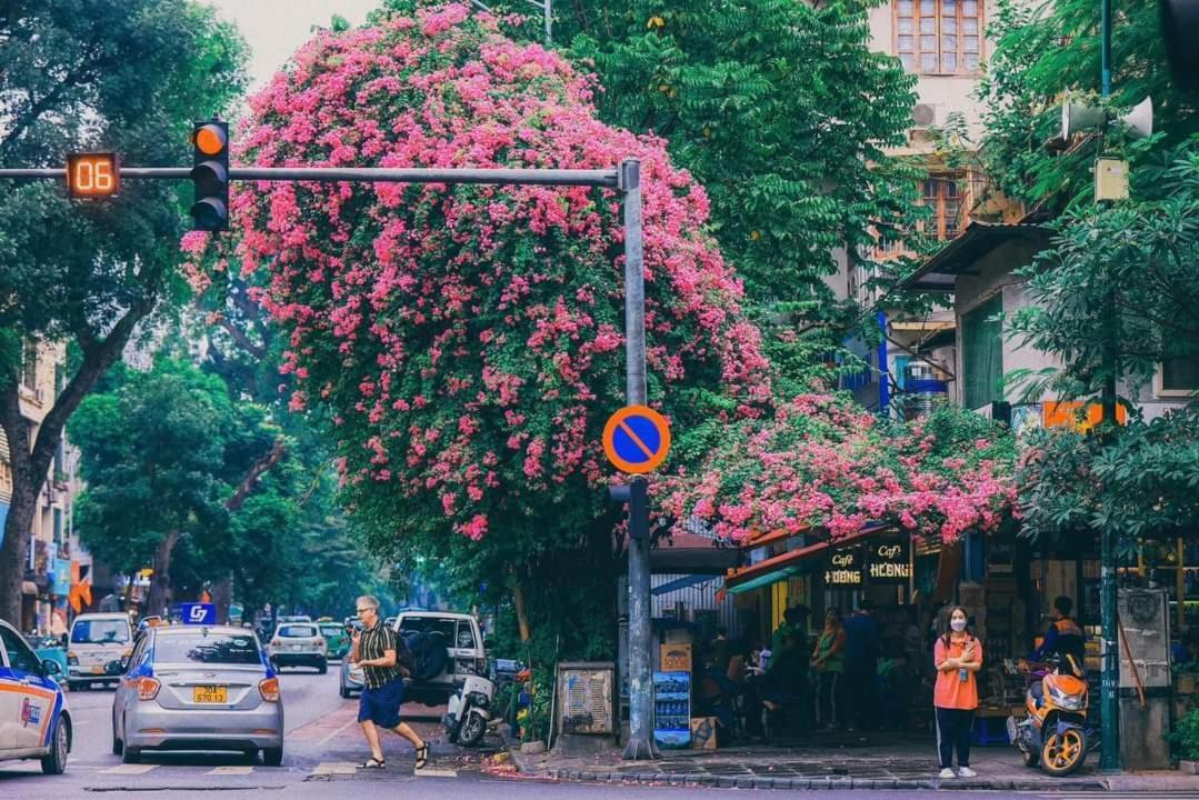 Tropical Land Little Hanoi Homestay Eksteriør billede