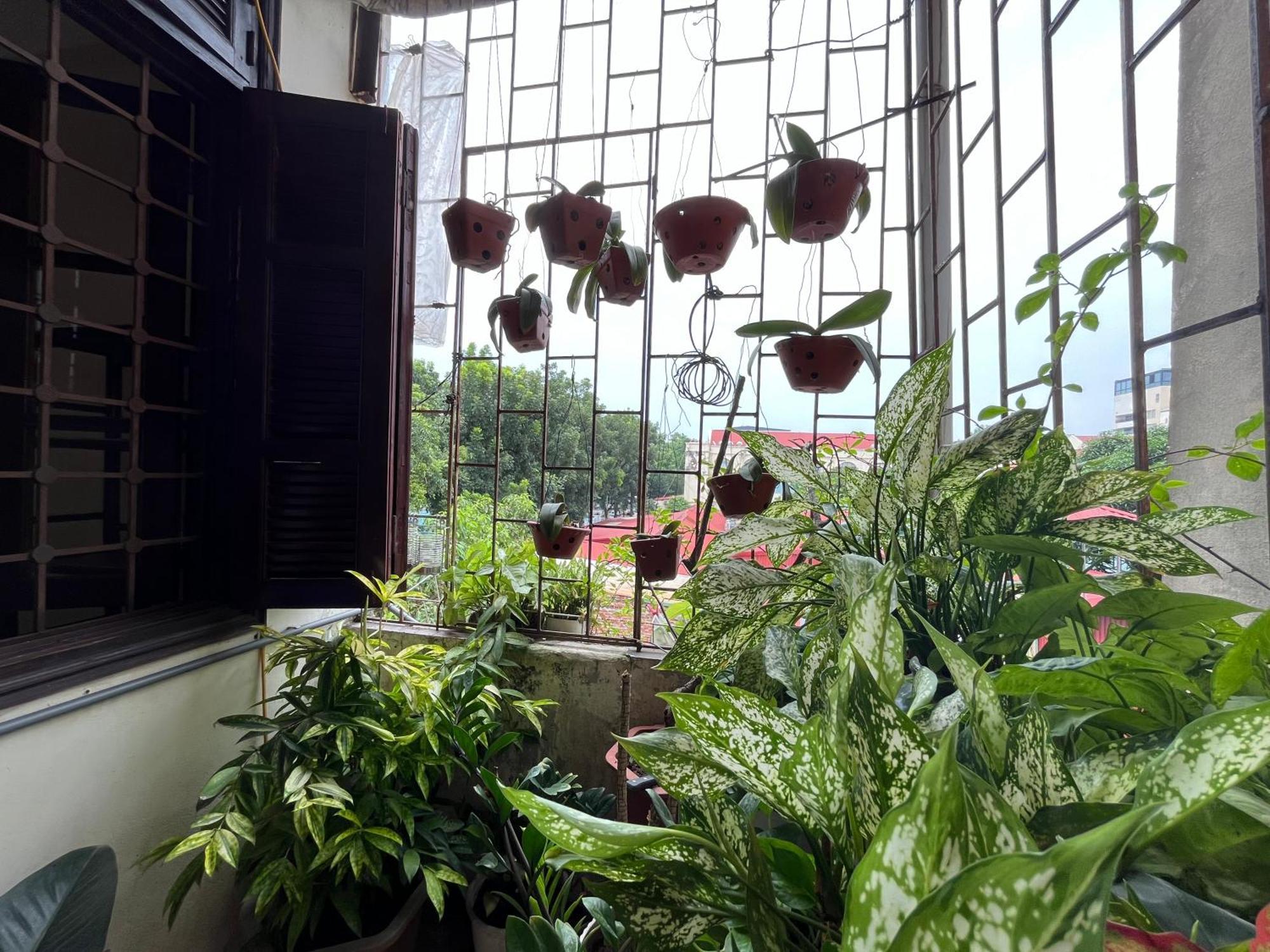 Tropical Land Little Hanoi Homestay Eksteriør billede